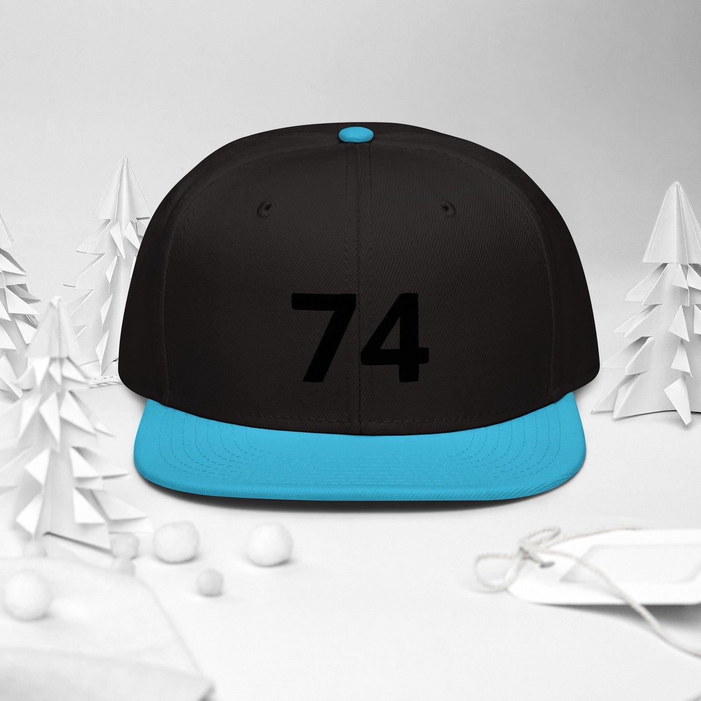 Snapback Hat 74