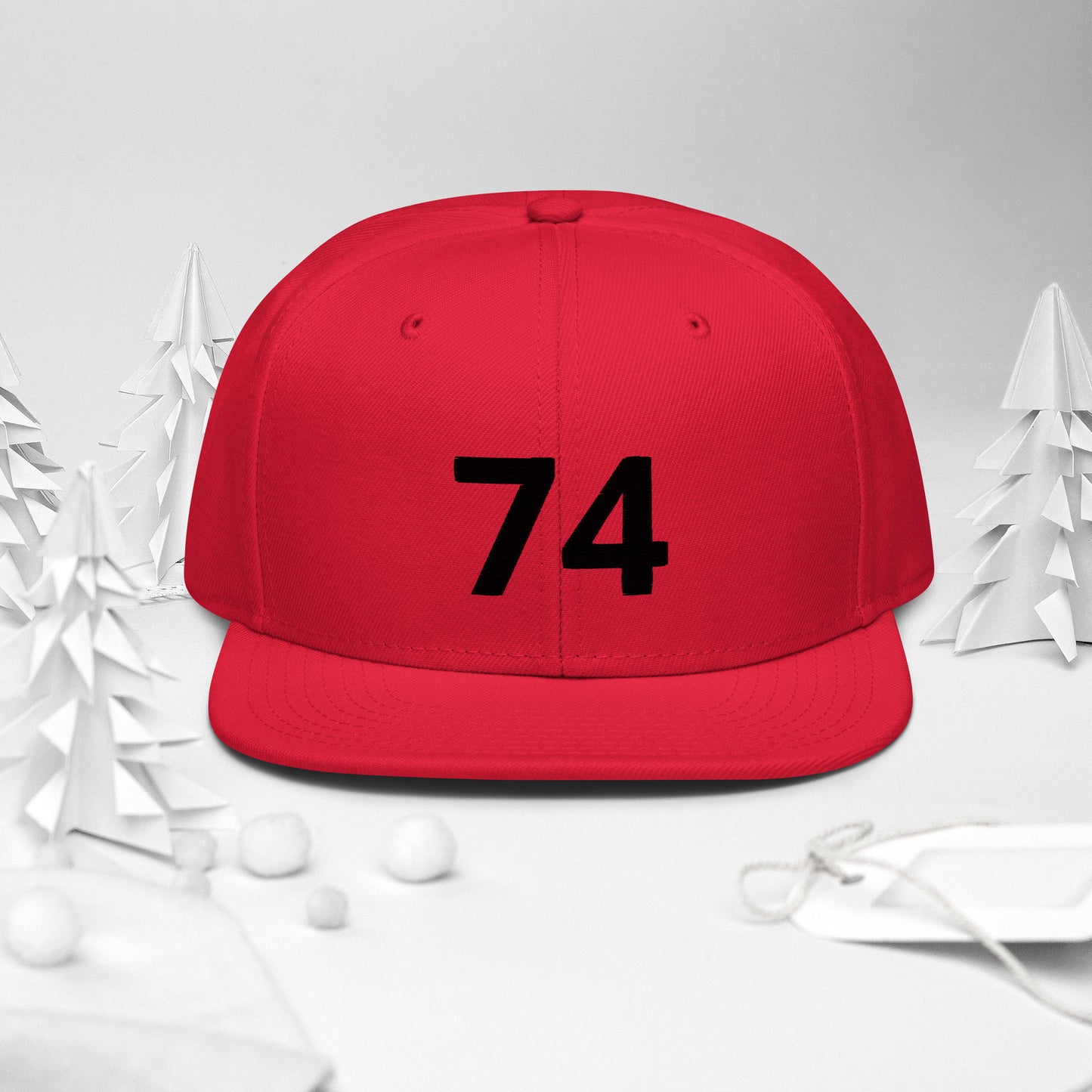 Snapback Hat 74